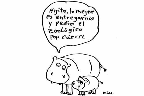 Hipopotamos