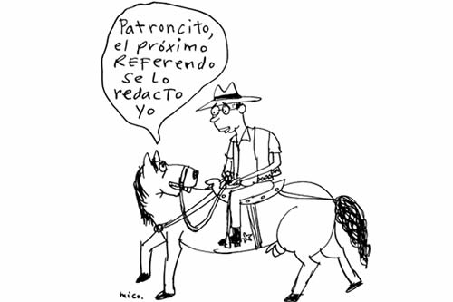 Referendo reeleccionista