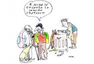 Comida Chatarra